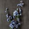 Blue Blossom Spray by Ashland®